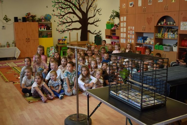 Hatalmas élményben volt részük a nyírpazonyi óvodásoknak a napokban…