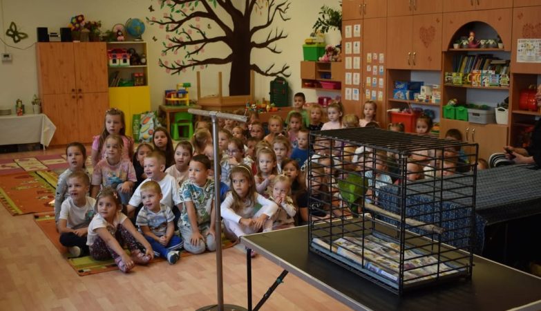 Hatalmas élményben volt részük a nyírpazonyi óvodásoknak a napokban…