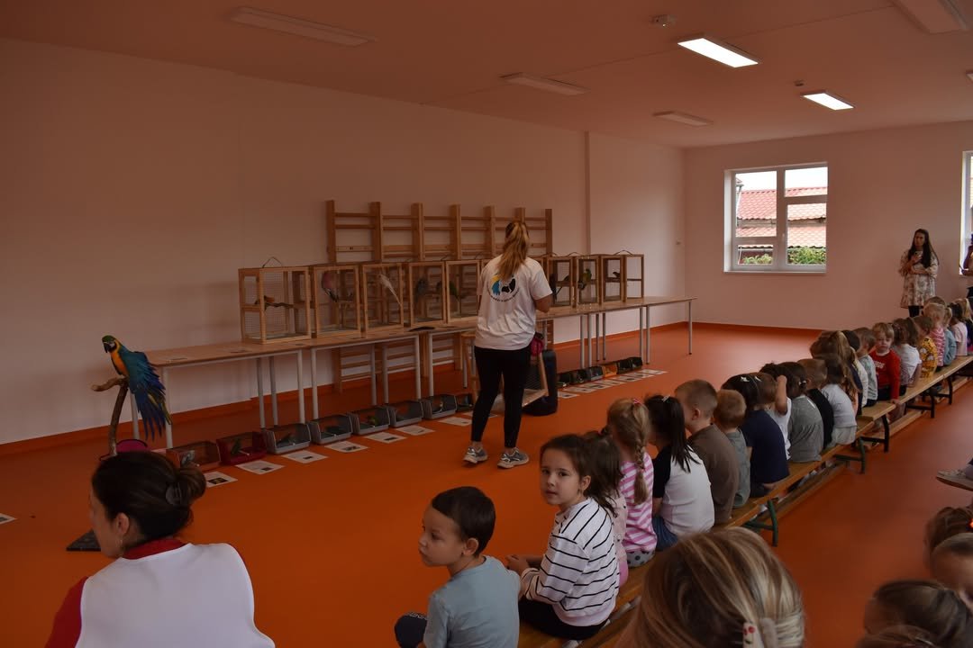 Tollas barátok látogatása a nyírpazonyi óvodában 🦜