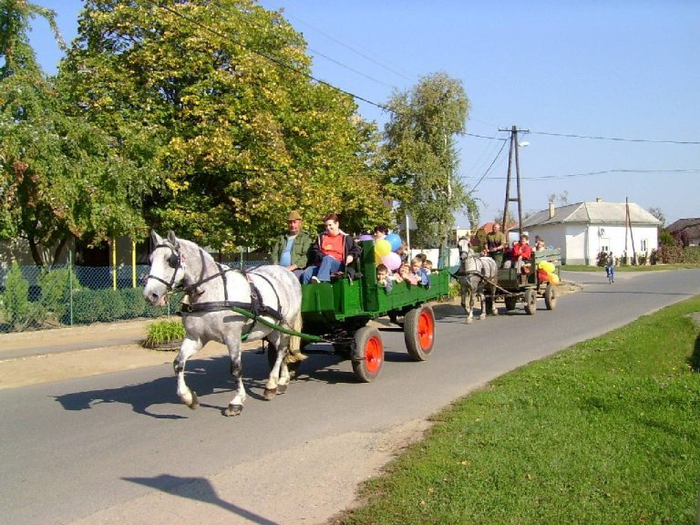 2005 Nyírpazony Óvoda Aranyalama hét