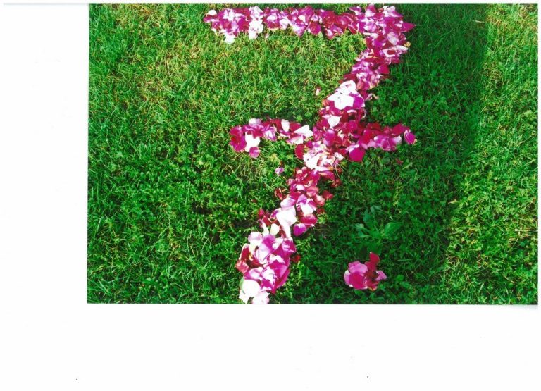 2008 NYÍRPAZONYI NŐK KLUBJA RÉGEBBI KÉPEK