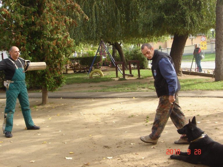 Nyírpazony ARANYALMA ÓVODA