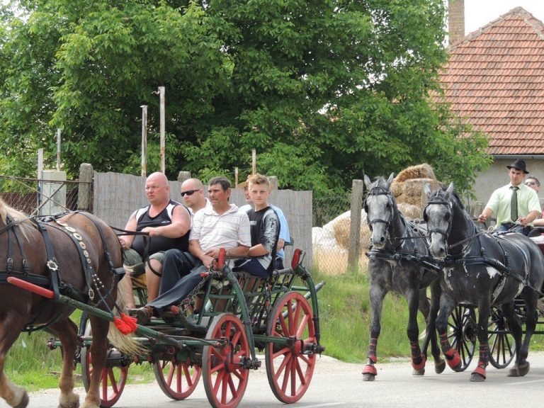 Nyírpazony MESTERSÉGEK ÜNNEPE III. NAP
