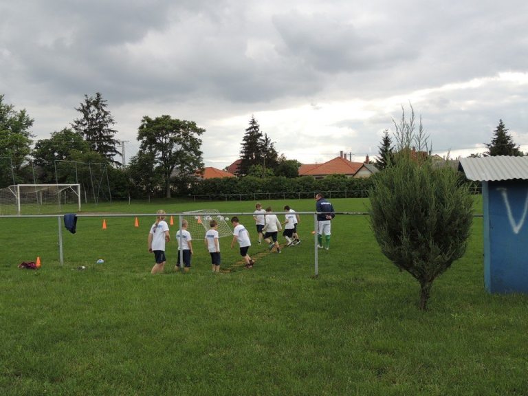 NYÍRPAZONY SE