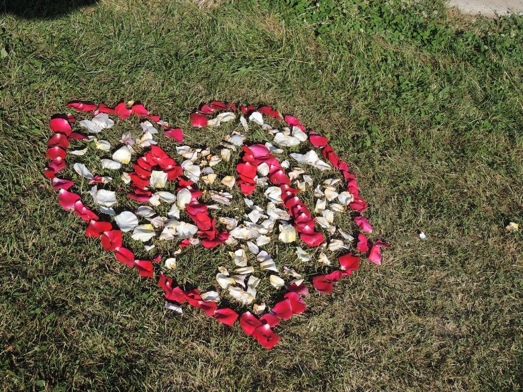 NYÍRPAZONYI NŐK KLUBJA 11 ÉVES