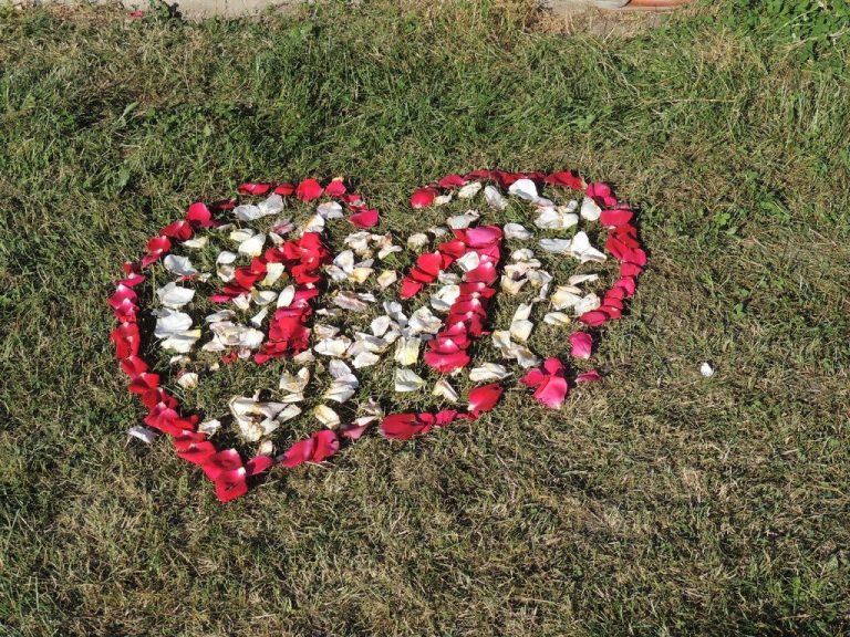 NYÍRPAZONYI NŐK KLUBJA 11 ÉVES