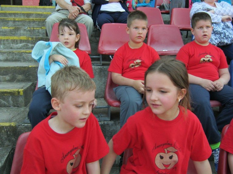 Nyírpazony BOZSIK FOCIPROGRAM