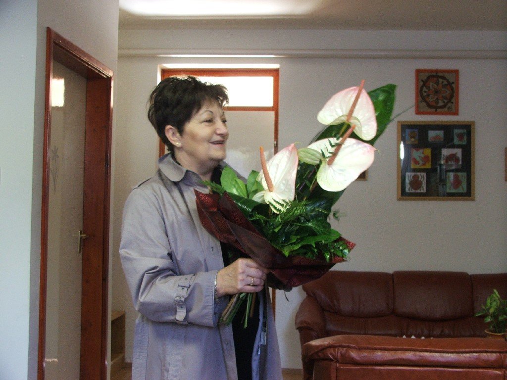 Nyírpazony SIMEON
