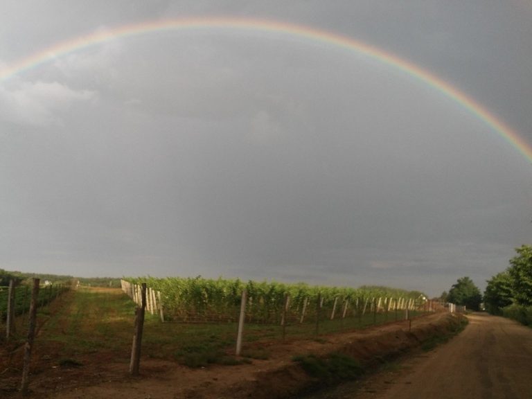 szivárvány