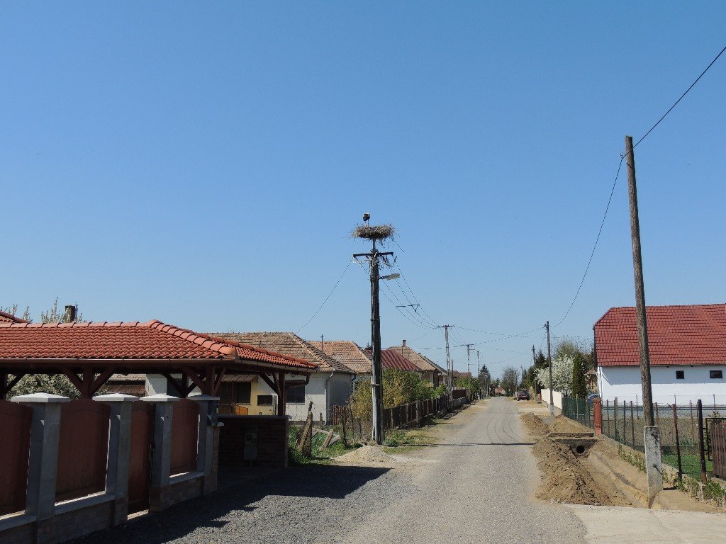 Nyírpazony Gólya
