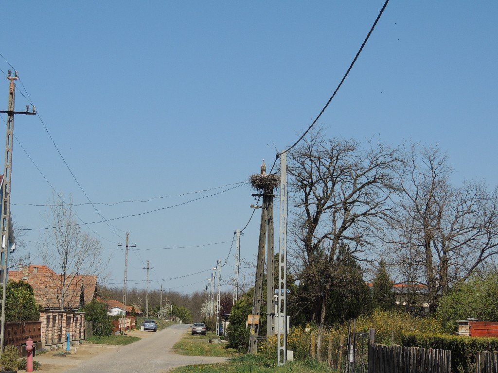Kabalás Gólya