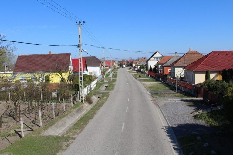 Nyírpazony