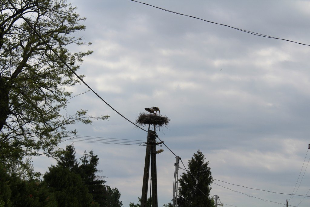 Kabalás golya