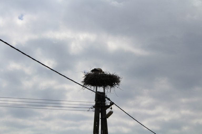 Kabalás golya