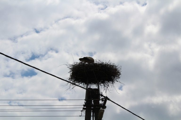 Kabalás golya