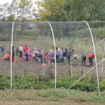 Életmódprogram 86