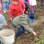 Életmódprogram 85