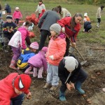 Életmódprogram 84