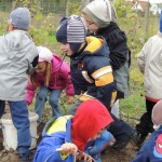 Életmódprogram 83