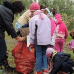 Életmódprogram 82