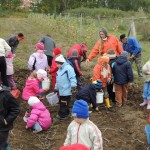 Életmódprogram 81