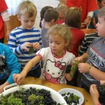 Életmódprogram 20