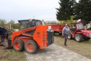 Ültetés 17