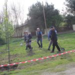 Faültetés 15